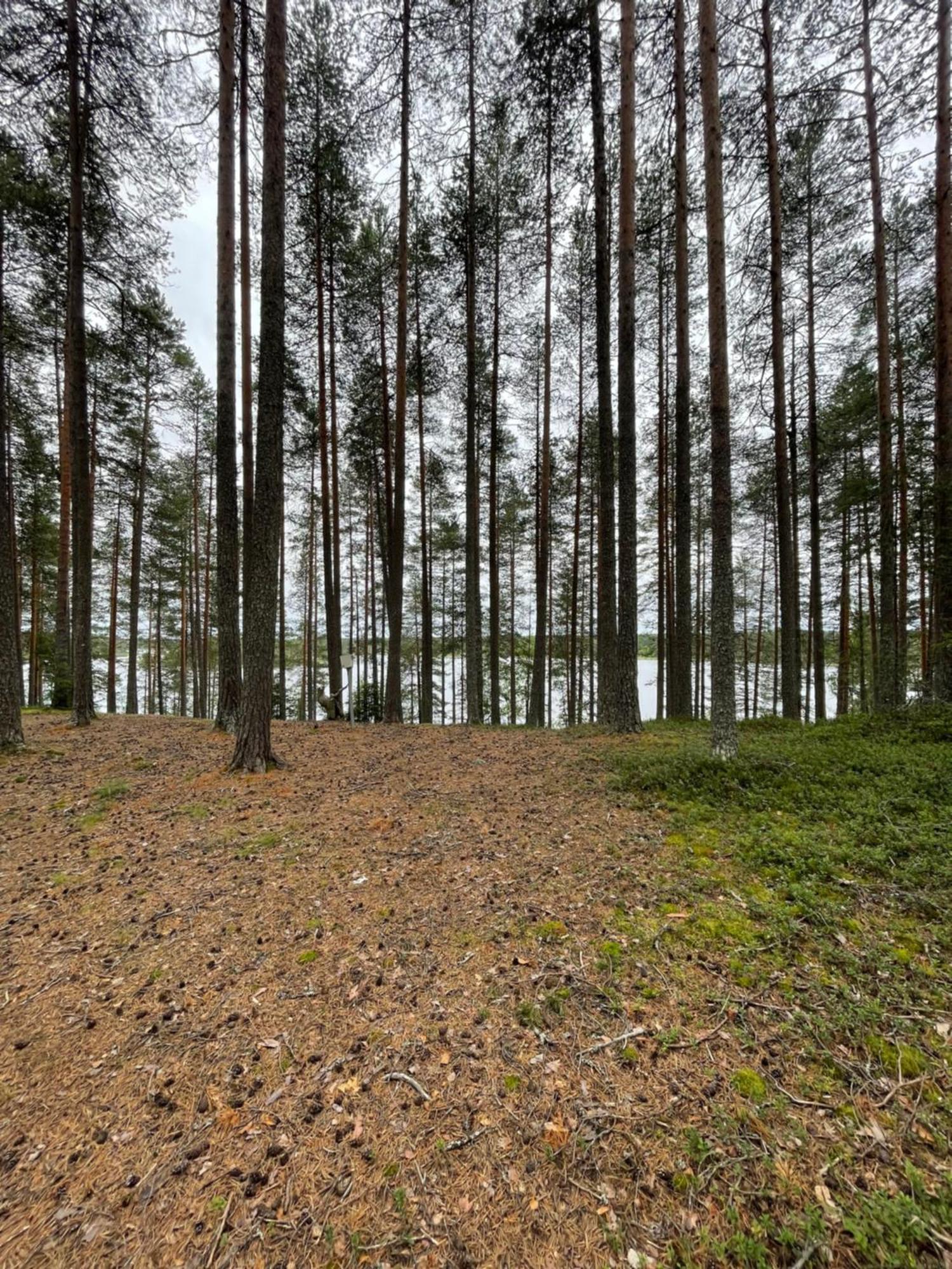 Laahtanen Camping Ristijärvi Dış mekan fotoğraf