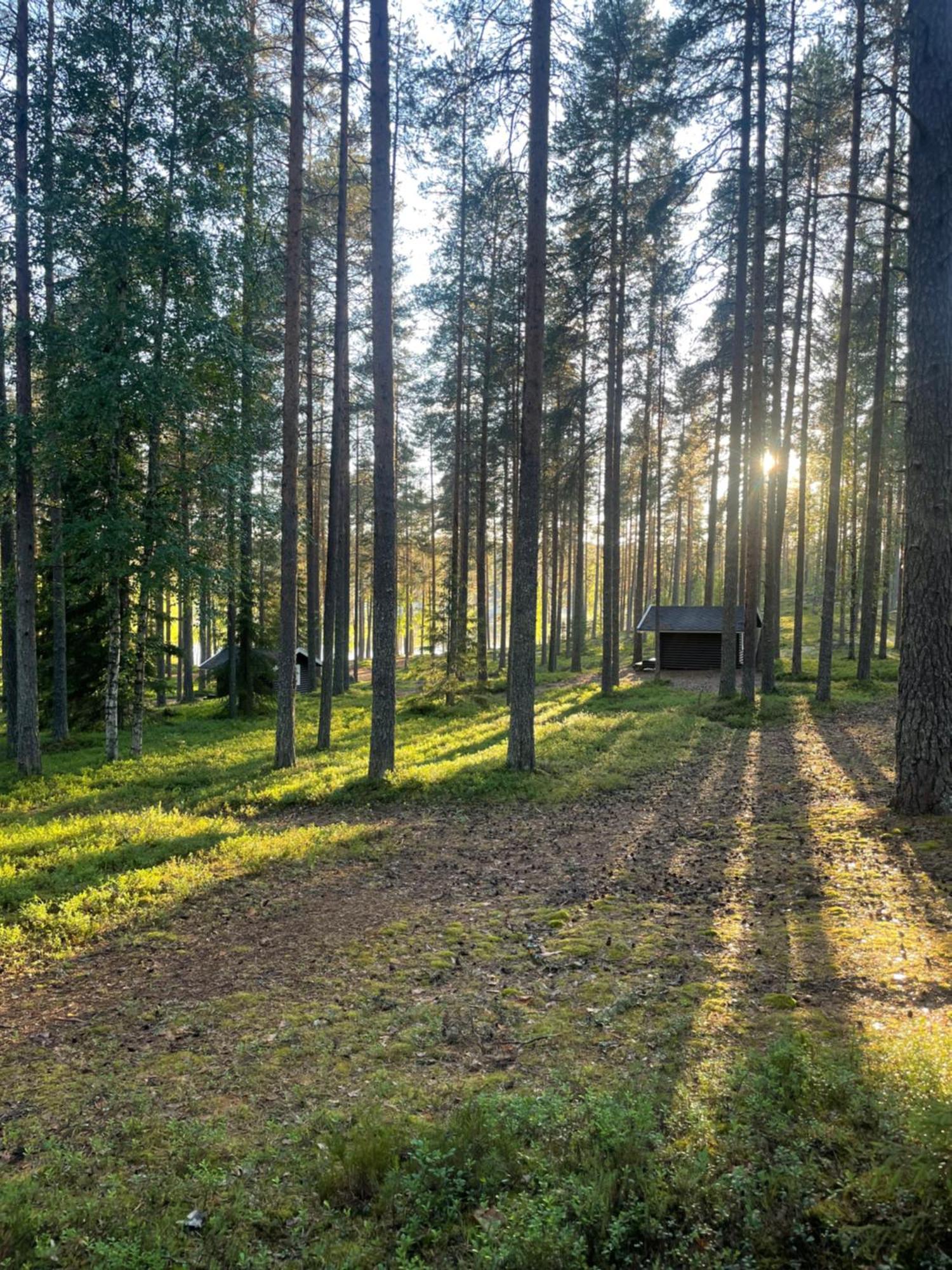 Laahtanen Camping Ristijärvi Dış mekan fotoğraf