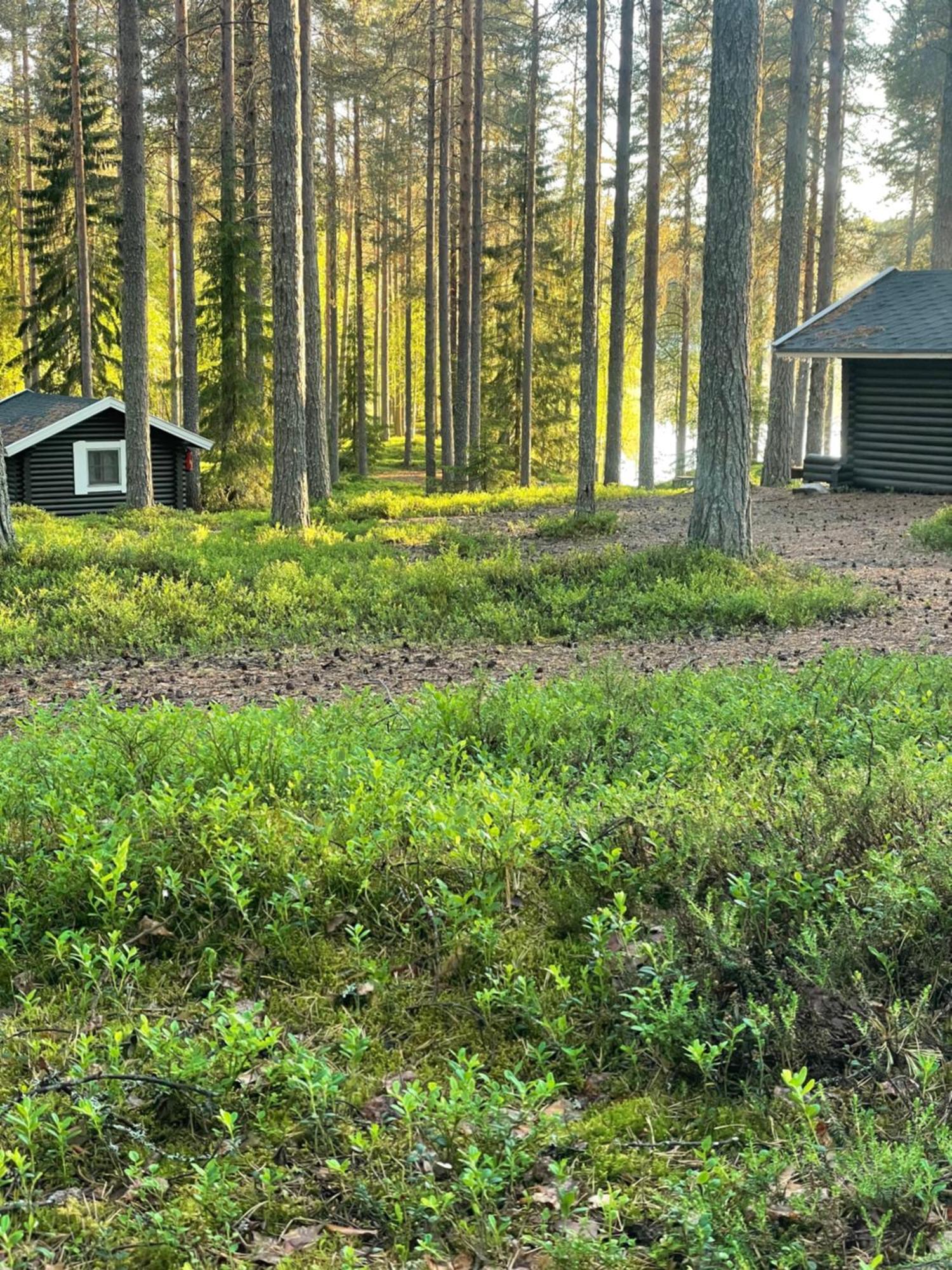 Laahtanen Camping Ristijärvi Dış mekan fotoğraf