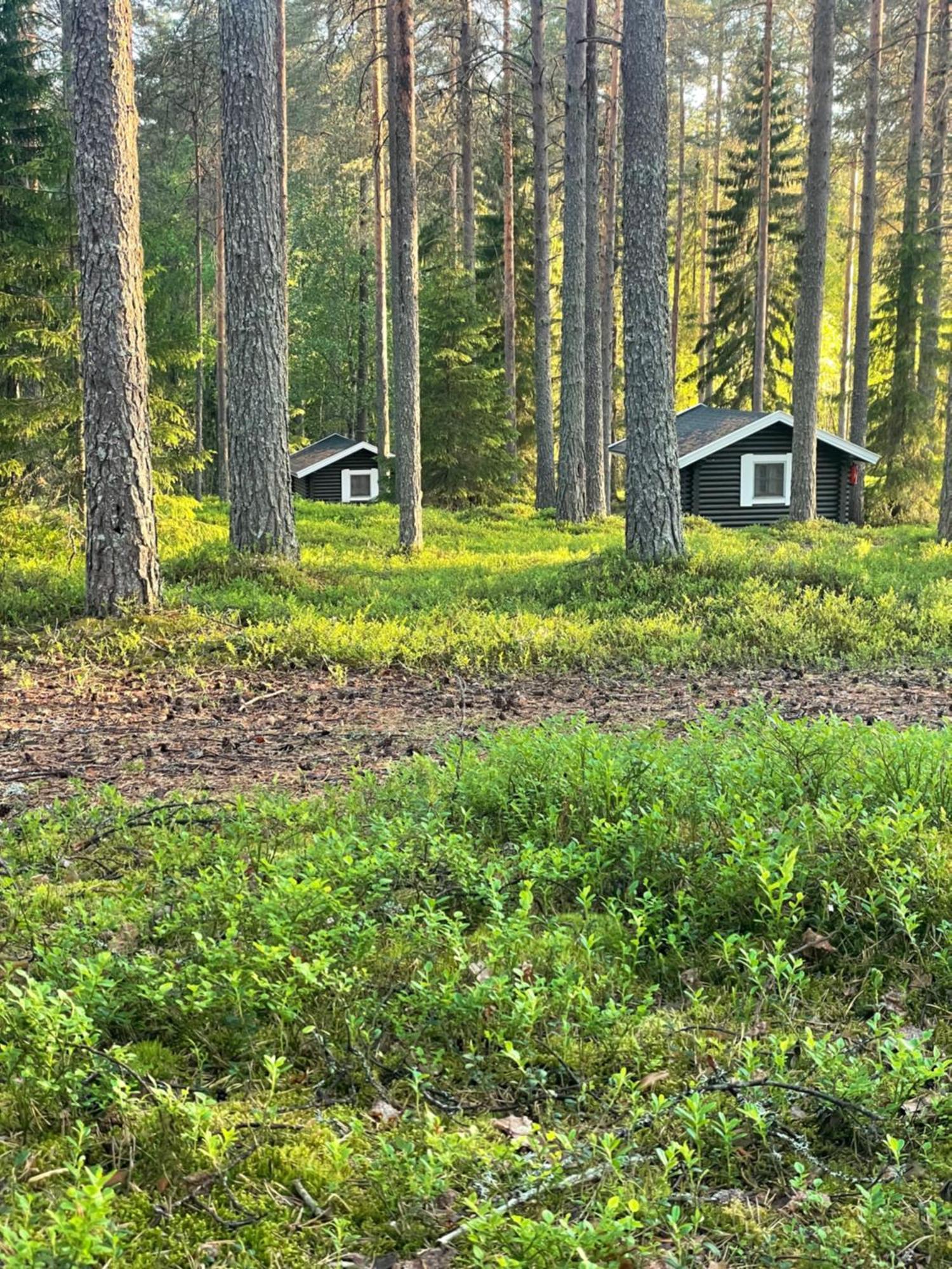 Laahtanen Camping Ristijärvi Dış mekan fotoğraf