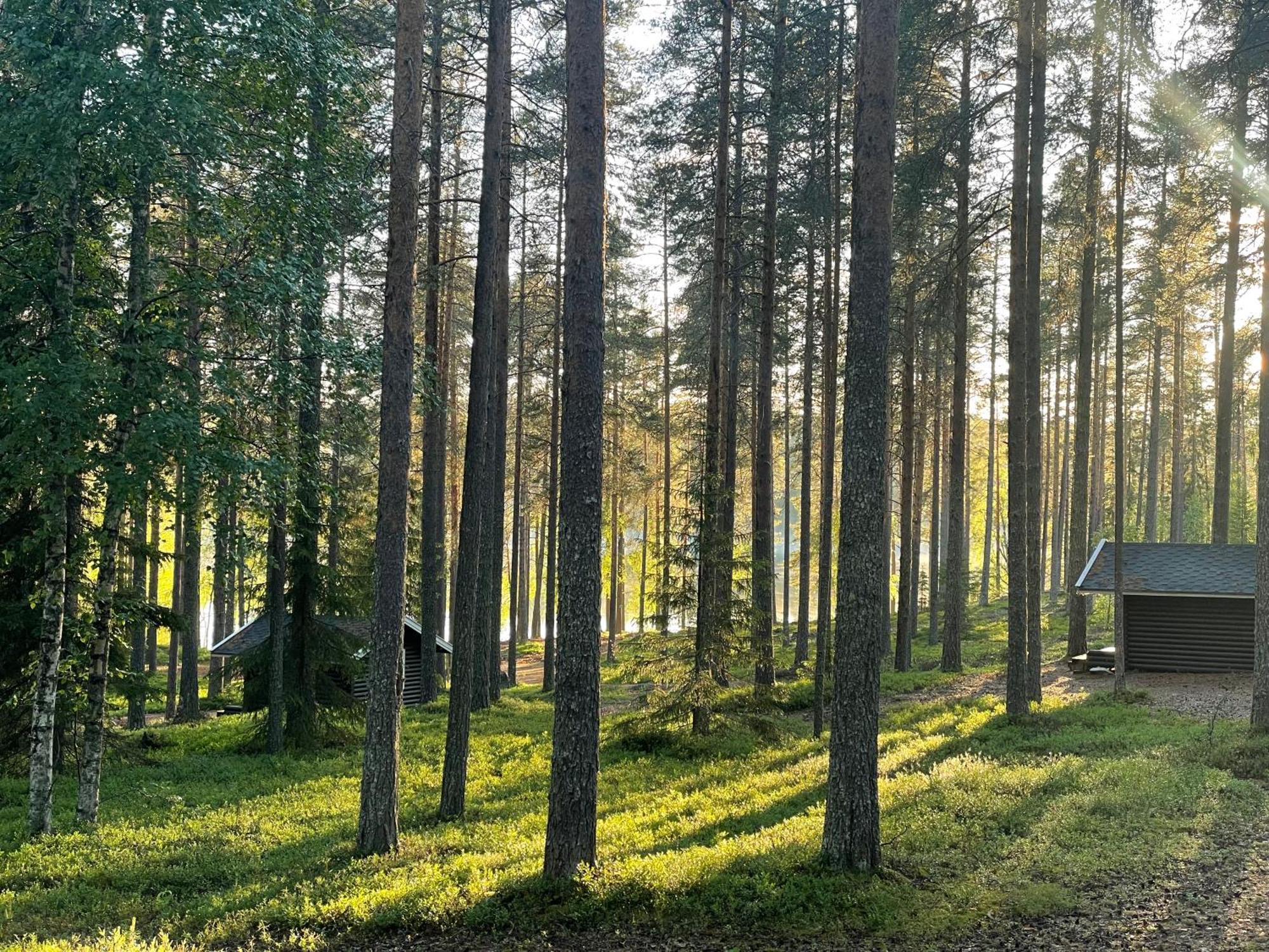 Laahtanen Camping Ristijärvi Dış mekan fotoğraf